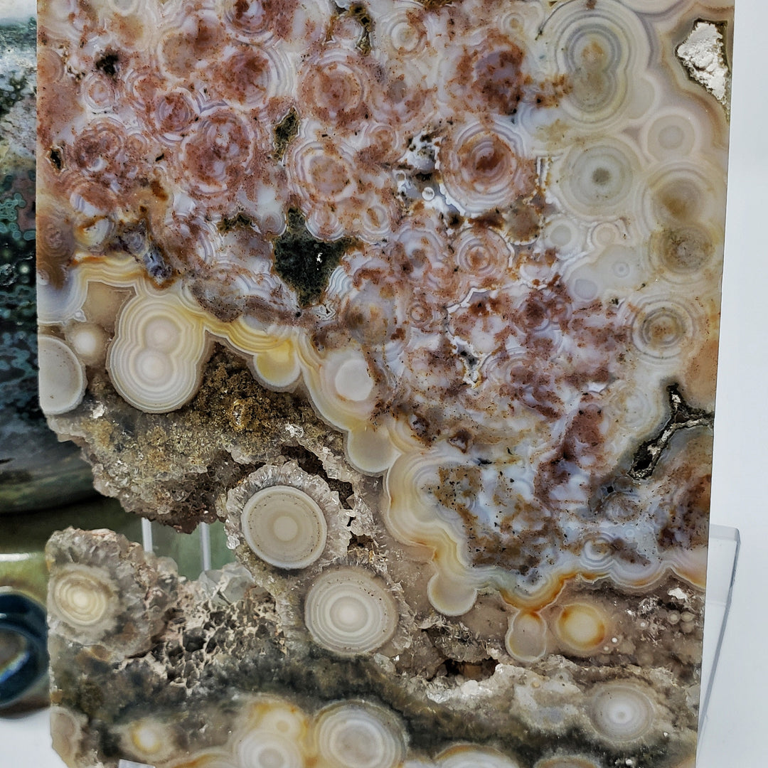 A brief history of Ocean Jasper