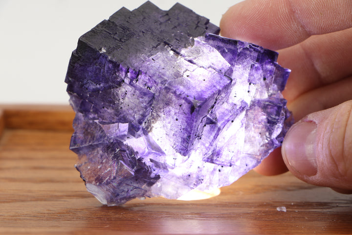 Fluorite - Elmwood Mine DS503