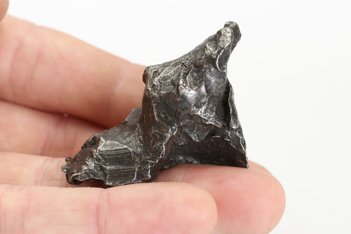 67.1 gram Sikhote-Alin Meteorite DS846