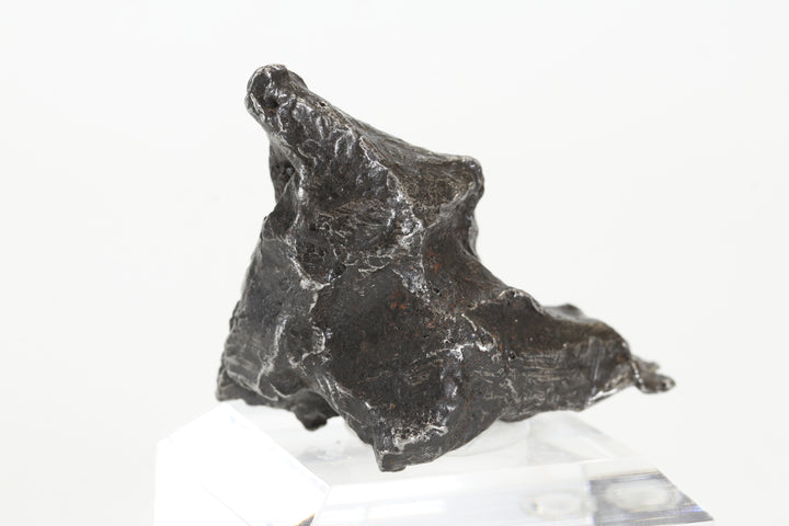 67.1 gram Sikhote-Alin Meteorite DS846
