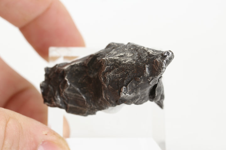 67.1 gram Sikhote-Alin Meteorite DS846
