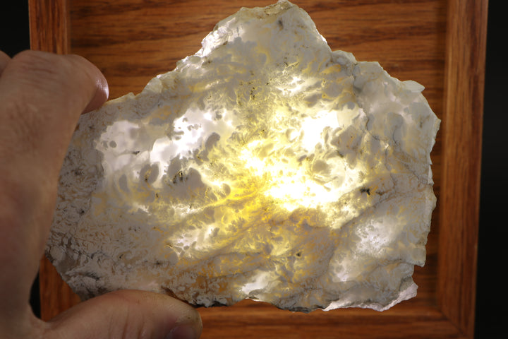 Nydegger Plume Agate - Post, Oregon DX1958