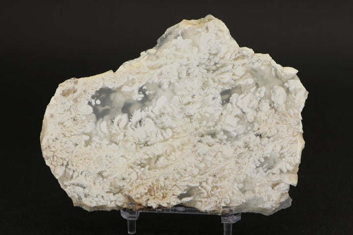 Nydegger Plume Agate - Post, Oregon DX1958