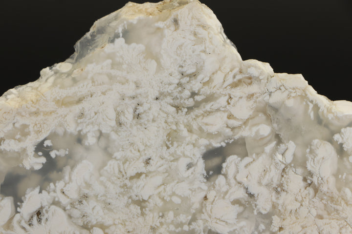 Nydegger Plume Agate - Post, Oregon DX1958