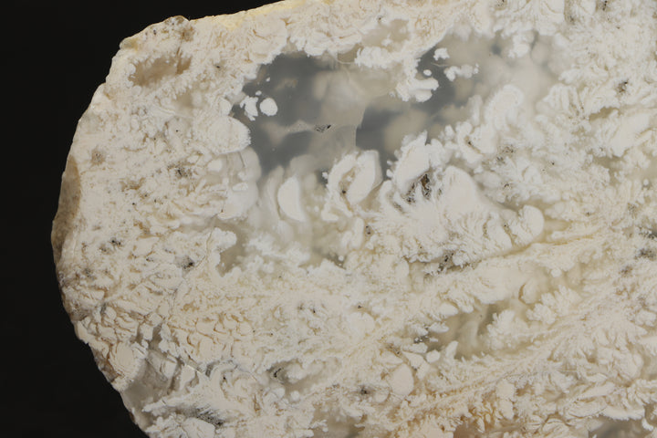 Nydegger Plume Agate - Post, Oregon DX1958