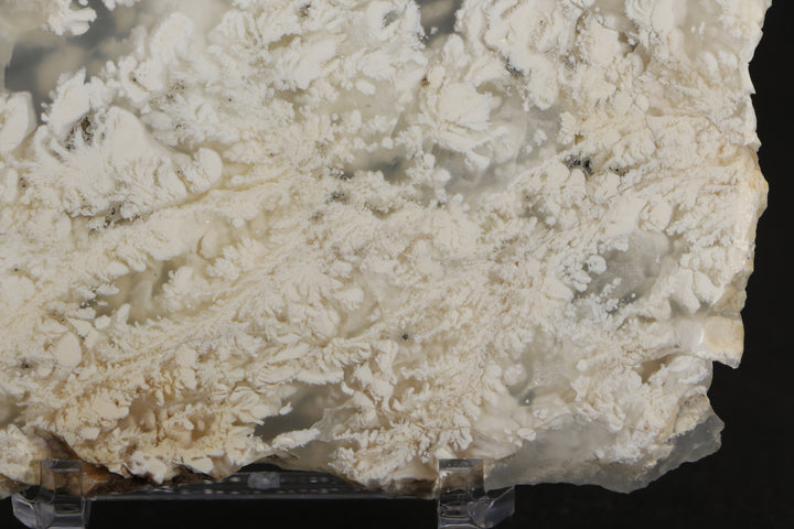 Nydegger Plume Agate - Post, Oregon DX1958