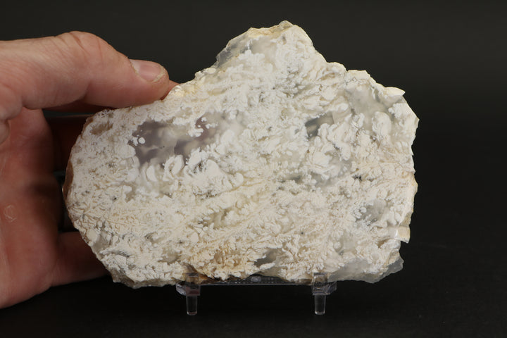 Nydegger Plume Agate - Post, Oregon DX1958