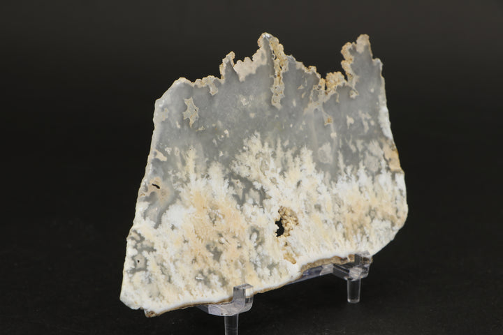 Nydegger Plume Agate - Post, Oregon DX1983