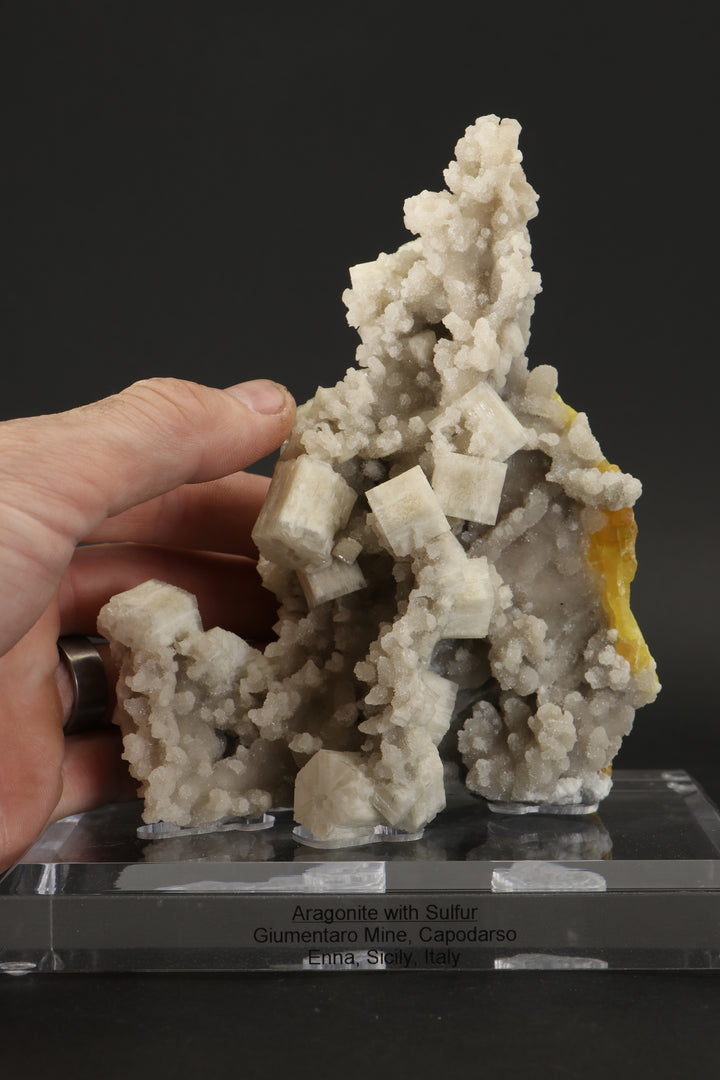 Aragonite with Sulfur on Acrylic Base DX3532