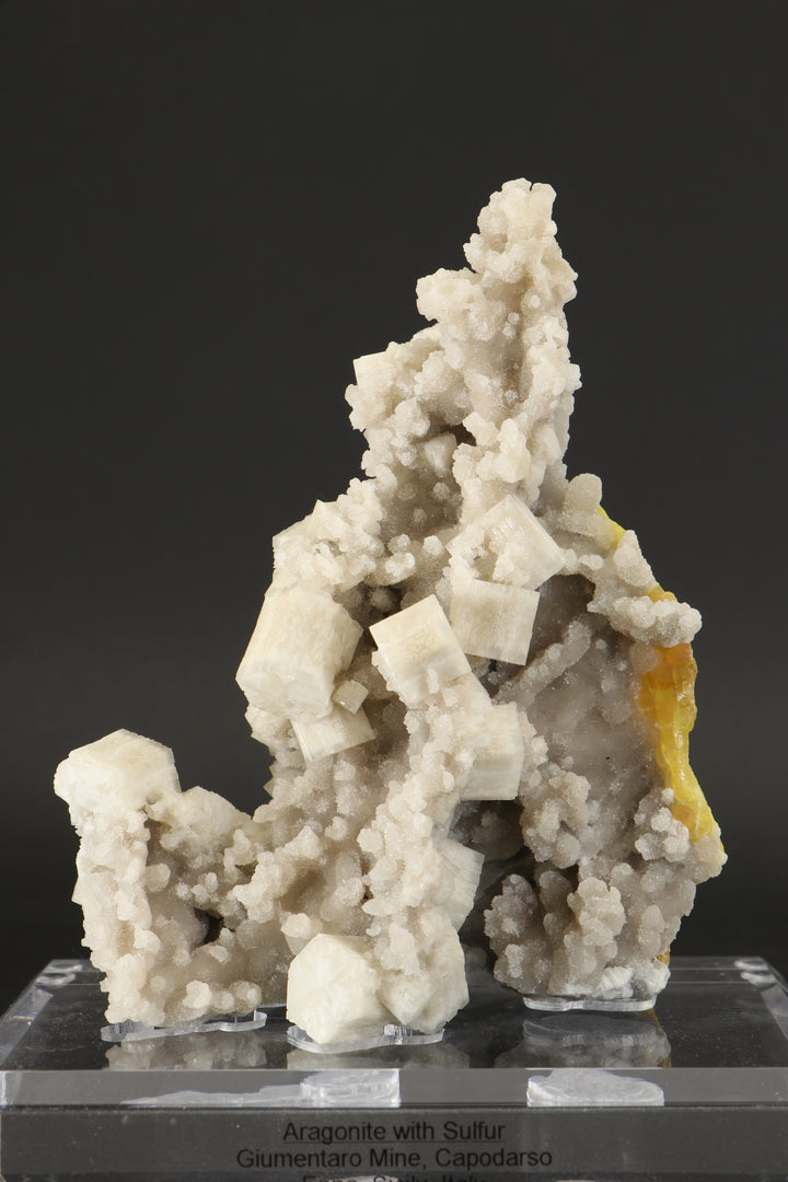 Aragonite with Sulfur on Acrylic Base DX3532