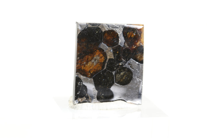 4.1 gram Brahin Meteorite Slab DX3591