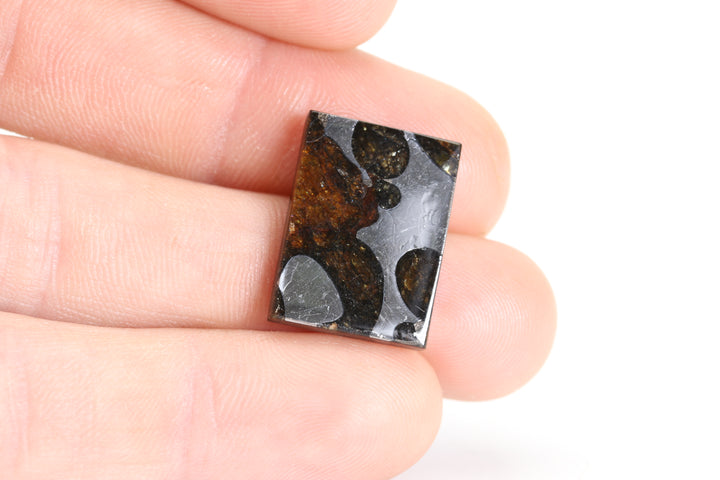 3.7 gram Brahin Meteorite Slab DX3593
