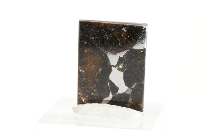 2.9 gram Brahin Meteorite Slab DX3596