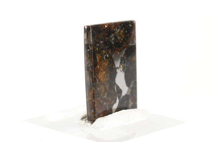 2.9 gram Brahin Meteorite Slab DX3596