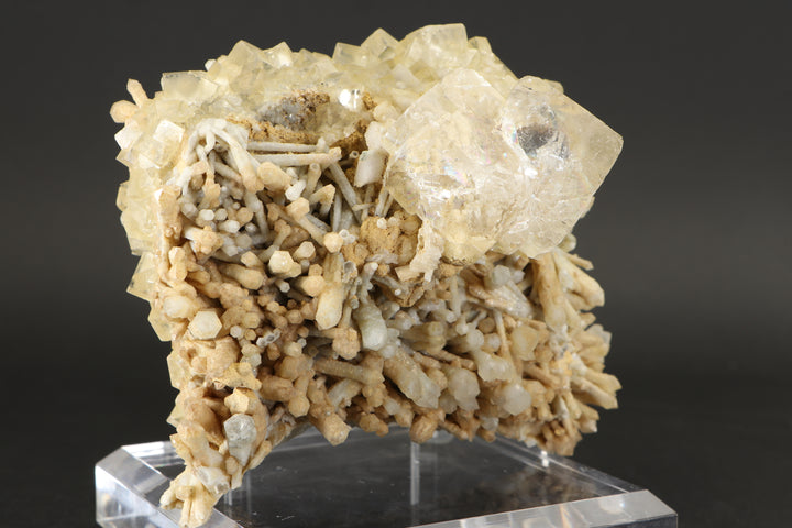 Clear Fluorite on Quartz - Nikolaevskiy Mine, Dalnegorsk DX3922