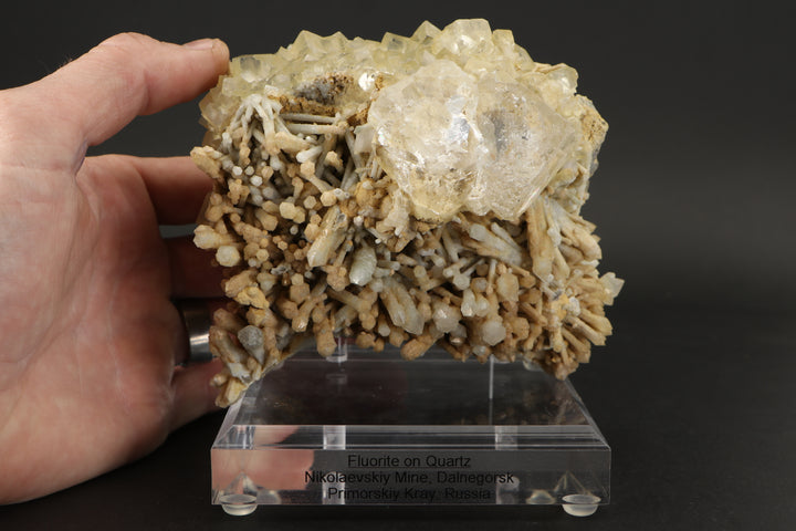 Clear Fluorite on Quartz - Nikolaevskiy Mine, Dalnegorsk DX3922