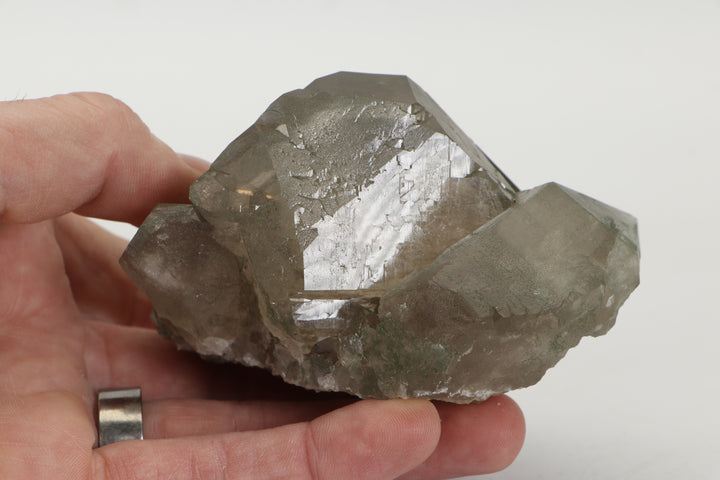 Smoky Quartz Gwindel Cluster with Chlorite from Mt. Blanc DX4575