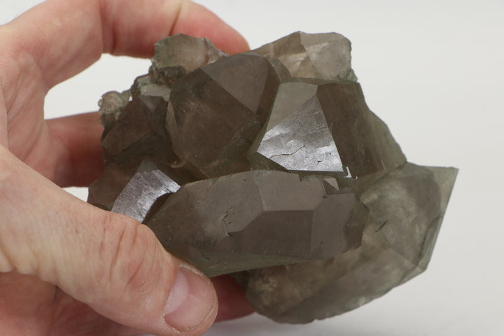 Smoky Quartz Gwindel Cluster with Chlorite from Mt. Blanc DX4575