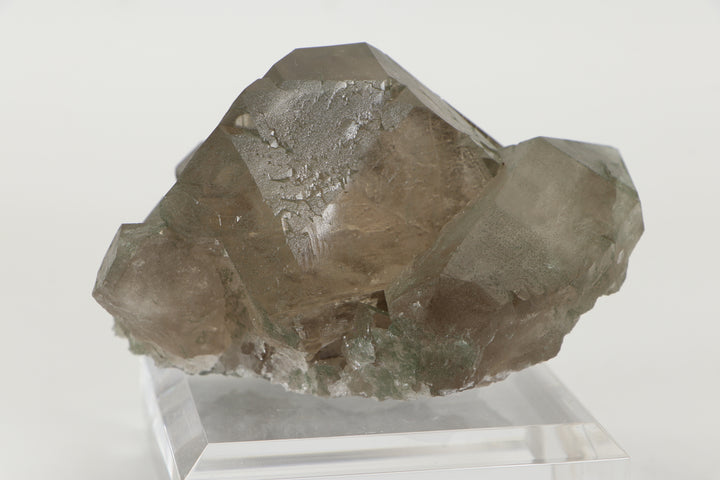 Smoky Quartz Gwindel Cluster with Chlorite from Mt. Blanc DX4575