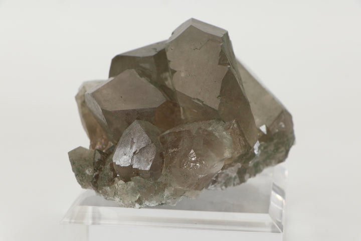 Smoky Quartz Gwindel Cluster with Chlorite from Mt. Blanc DX4575