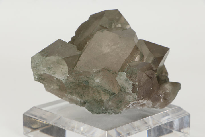 Smoky Quartz Gwindel Cluster with Chlorite from Mt. Blanc DX4575