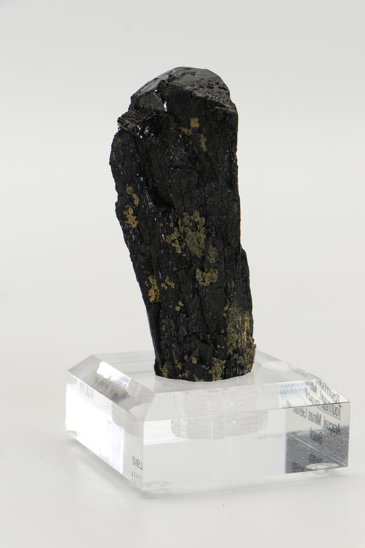 Tourmaline var. Schorl - Aracuai, Brazil DS620
