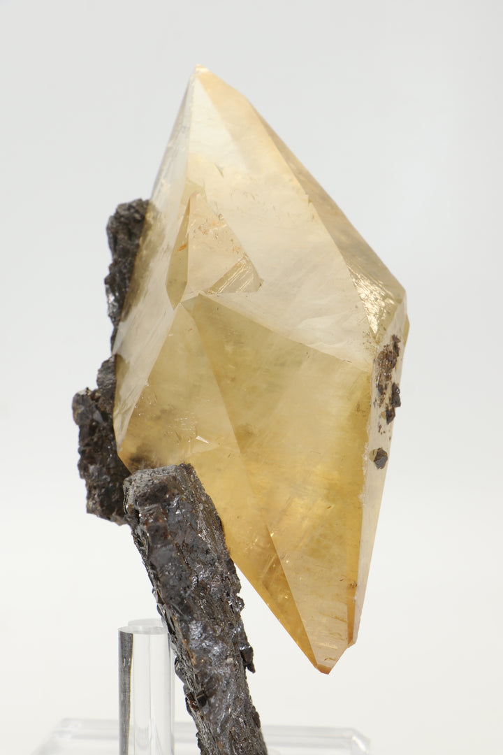 Calcite on Sphalerite - Elmwood Mine TF2022