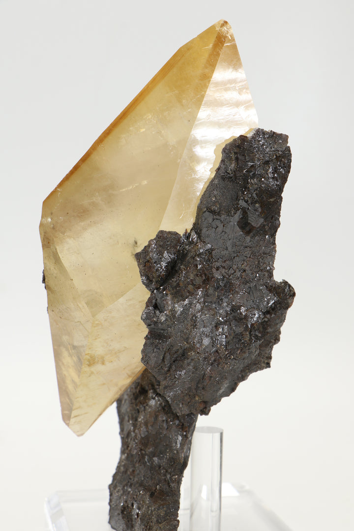 Calcite on Sphalerite - Elmwood Mine TF2022