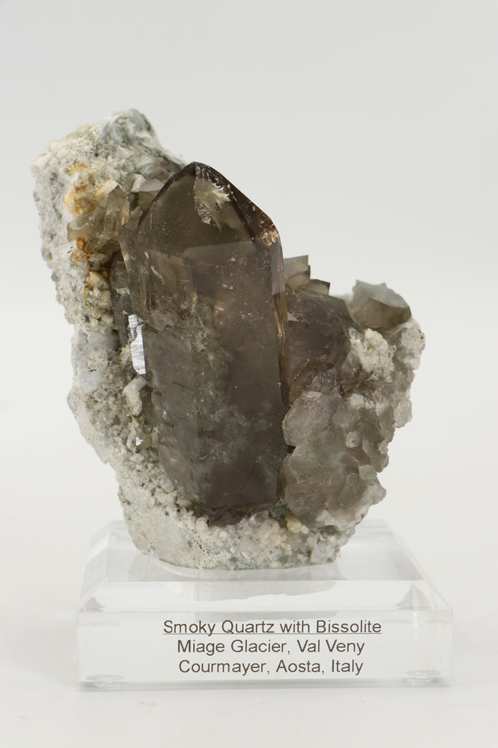 Smoky Quartz with Bissolite - Miage Glacier, Italy DS415