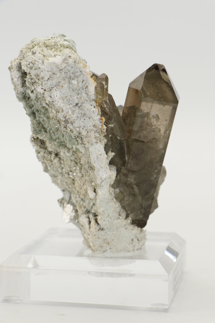 Smoky Quartz with Bissolite - Miage Glacier, Italy DS415
