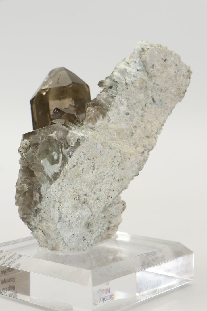Smoky Quartz with Bissolite - Miage Glacier, Italy DS415