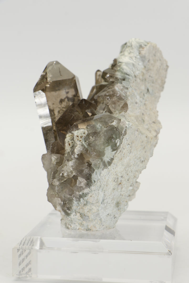 Smoky Quartz with Bissolite - Miage Glacier, Italy DS415