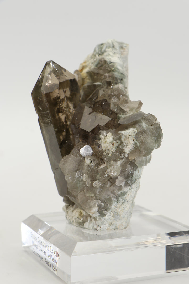 Smoky Quartz with Bissolite - Miage Glacier, Italy DS415