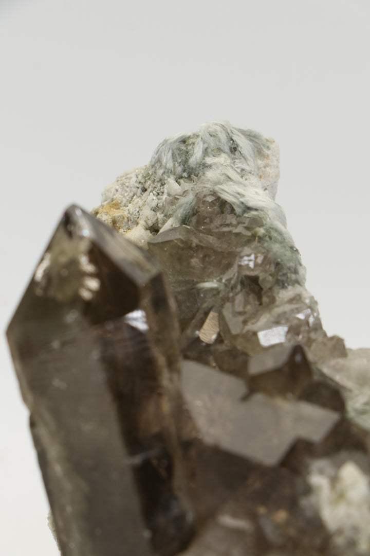 Smoky Quartz with Bissolite - Miage Glacier, Italy DS415