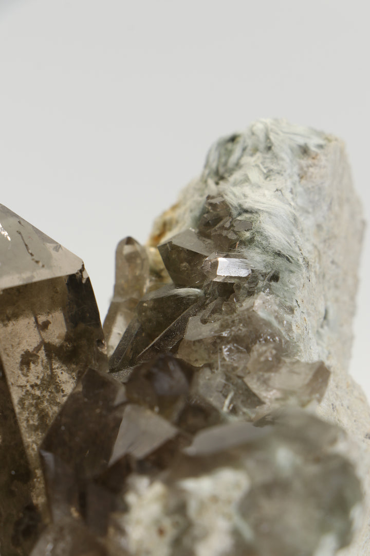Smoky Quartz with Bissolite - Miage Glacier, Italy DS415