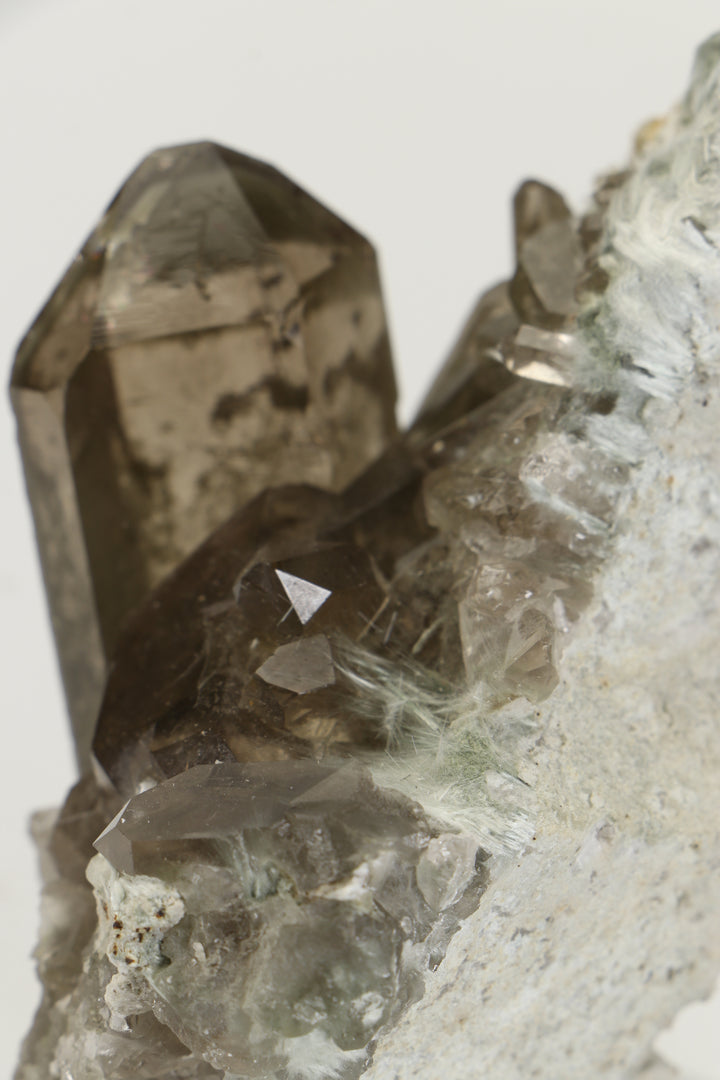 Smoky Quartz with Bissolite - Miage Glacier, Italy DS415