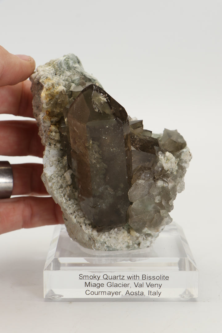 Smoky Quartz with Bissolite - Miage Glacier, Italy DS415