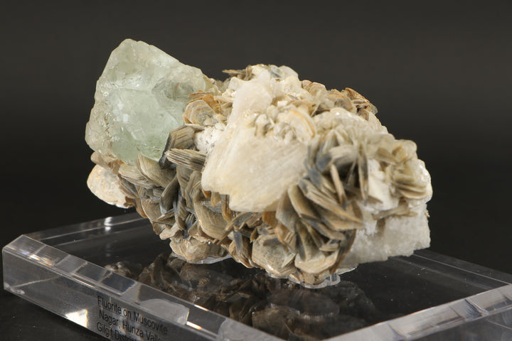 Green Fluorite Octahedron on Muscovite - Nagar, Pakistan DS417