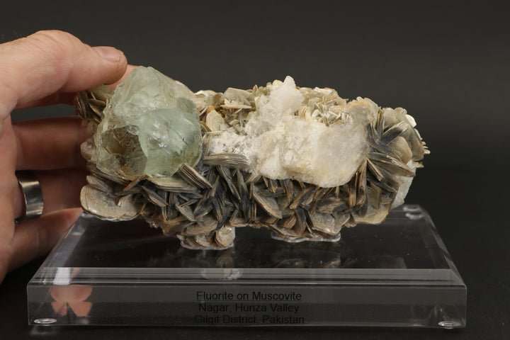 Green Fluorite Octahedron on Muscovite - Nagar, Pakistan DS417