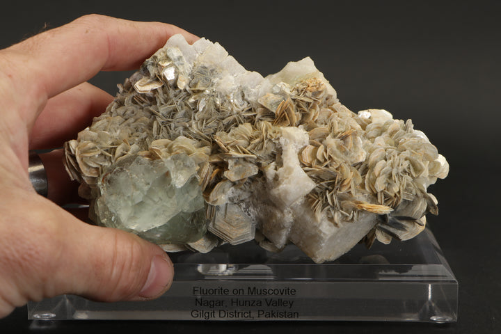 Green Fluorite Octahedron on Muscovite - Nagar, Pakistan DS417