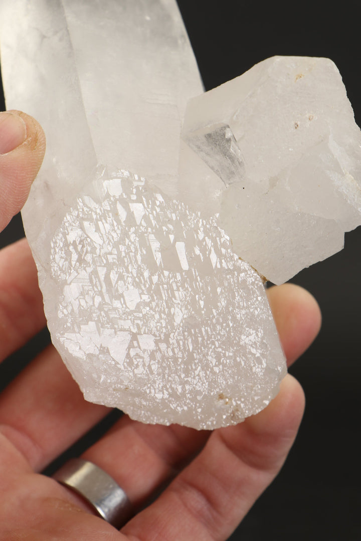 6.25" Self-healed Lemurian Seed Crystal TF2783