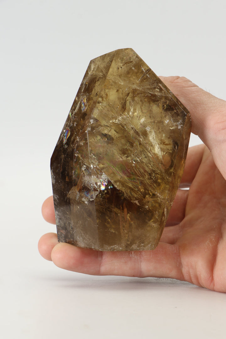 4" Smoky Citrine Freeform TW773