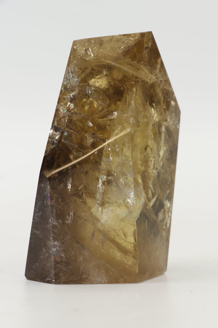 4" Smoky Citrine Freeform TW773