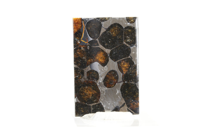 6.9 gram Brahin Meteorite Slab TZ95
