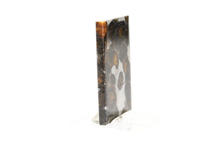 6.9 gram Brahin Meteorite Slab TZ95