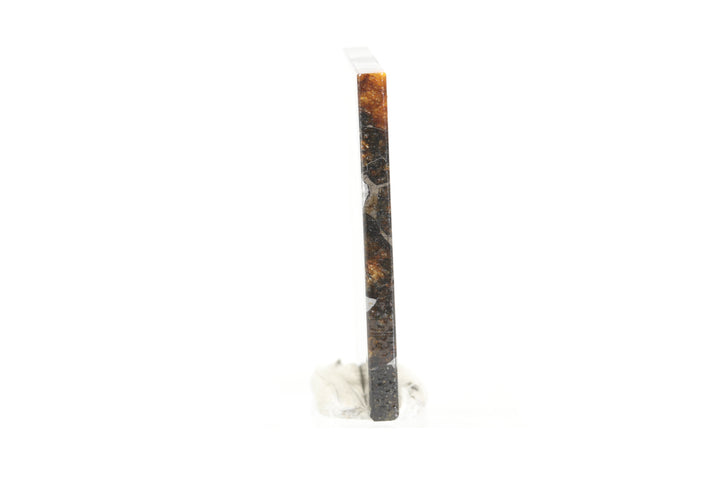 6.9 gram Brahin Meteorite Slab TZ95