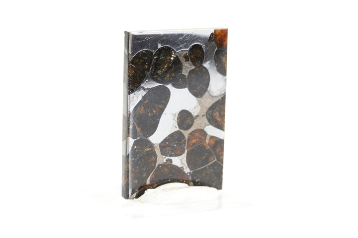 6.9 gram Brahin Meteorite Slab TZ95