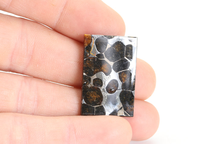 6.9 gram Brahin Meteorite Slab TZ95