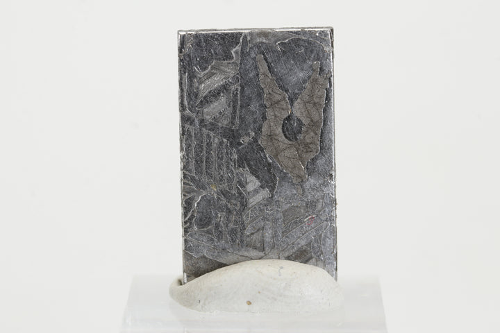 7.6 gram Aletai Meteorite Slab TZ1275