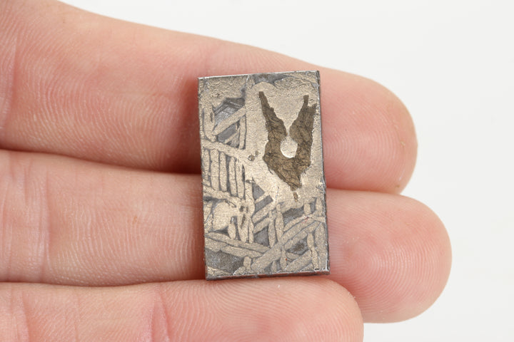 7.6 gram Aletai Meteorite Slab TZ1275